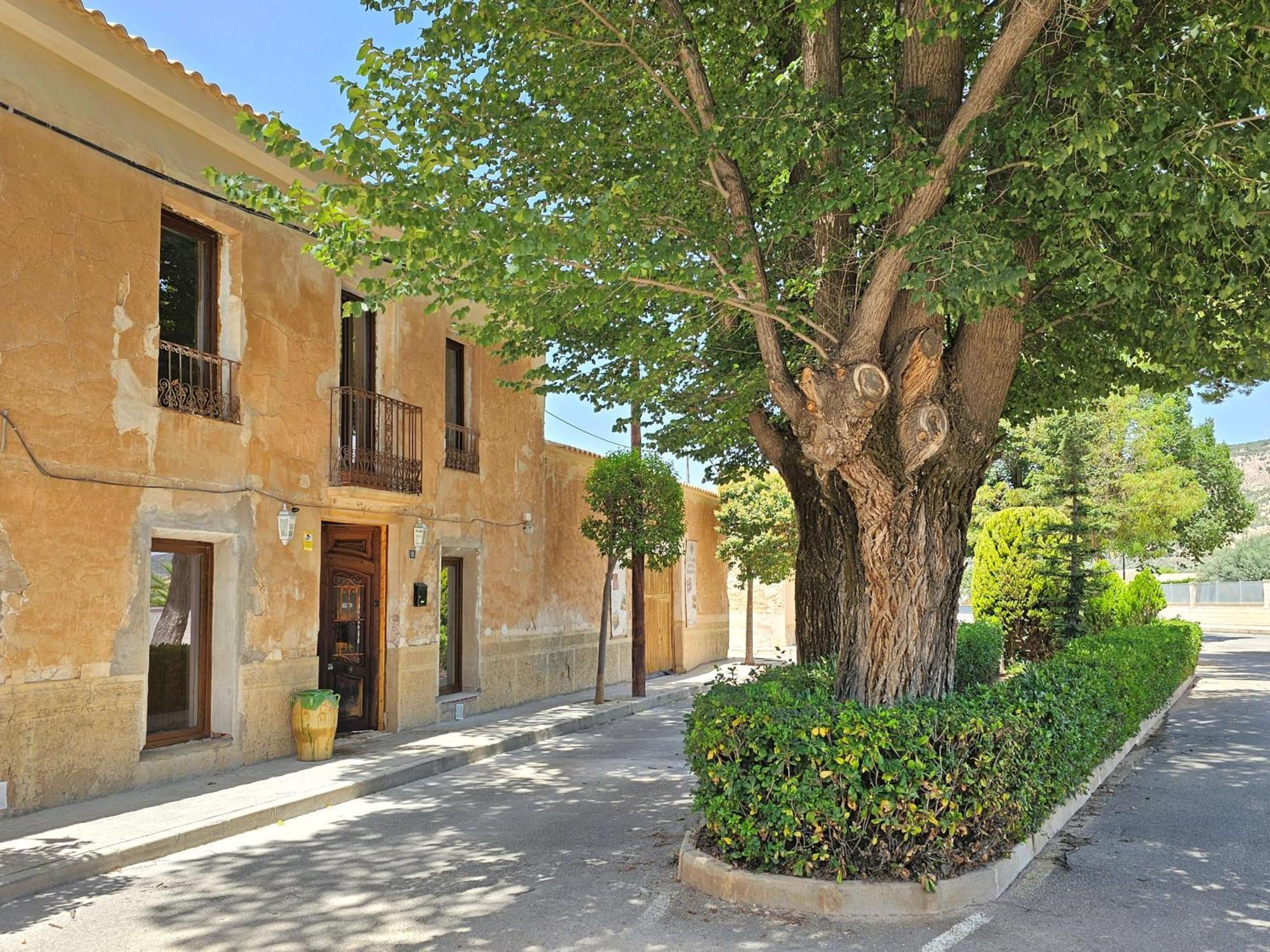 مبيت وإفطار Pinoso Casa Rodriguillo المظهر الخارجي الصورة